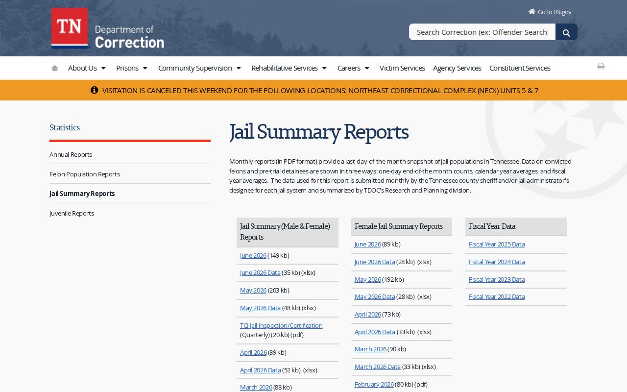 Pickett County released inmate jail summary source